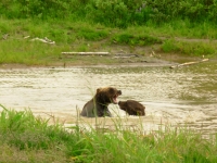 Siblings playing